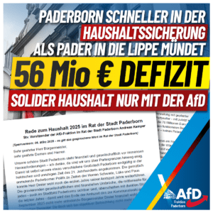 Mehr über den Artikel erfahren AfD-Haushaltsrede 2025 im Rat der Stadt Paderborn